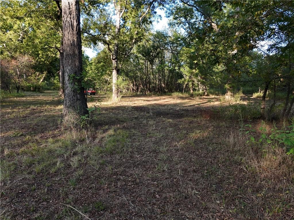 1 E Moles Road — photo 12