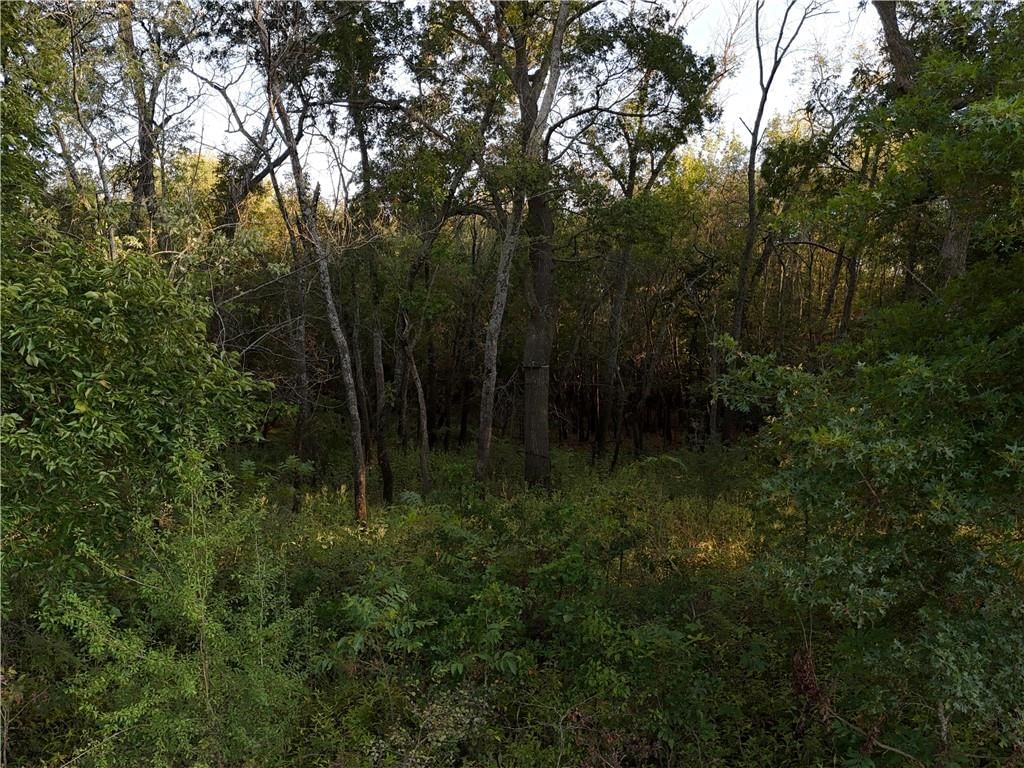1 E Moles Road — photo 26