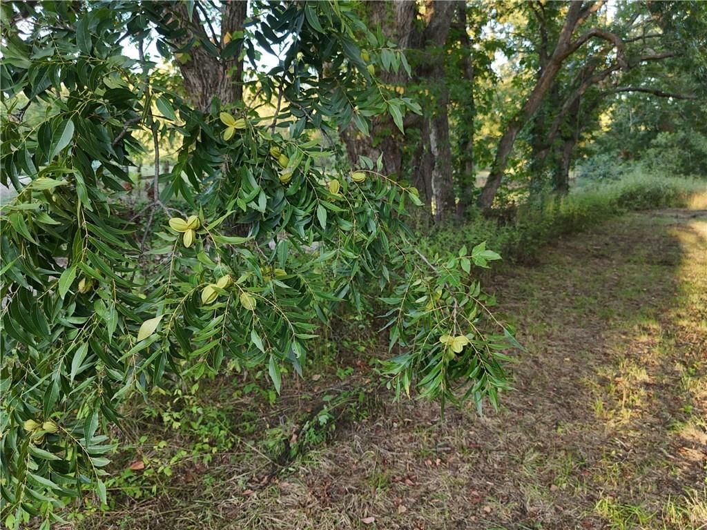 1 E Moles Road — photo 31