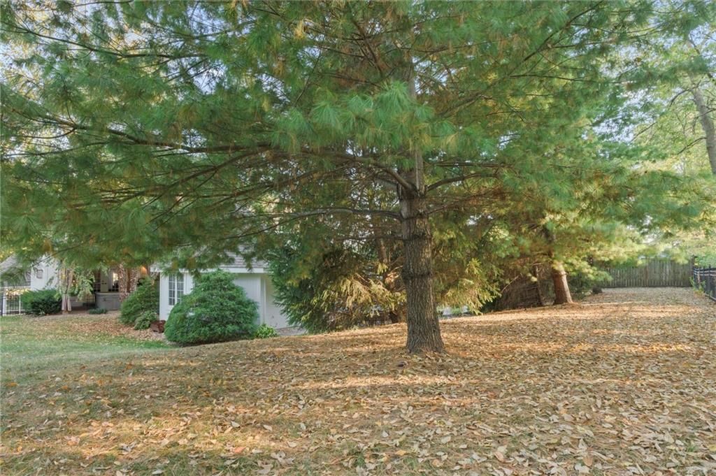 212 SHAWNA Drive — photo 67