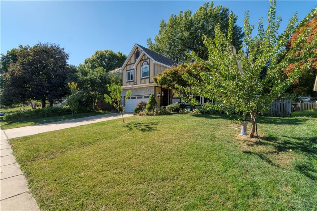 11008 Rene Street — photo 4
