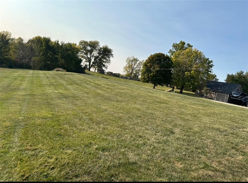 12560 Co Rd 445 Road — photo 16