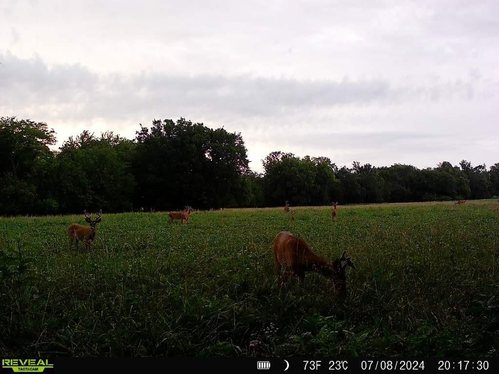 1152 Fern Road — photo 27