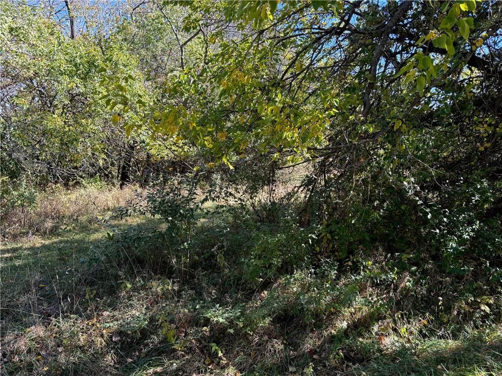 Lot 2349 Neptune Court, Gallatin, MO