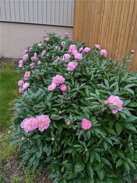809 Southbrook Parkway — photo 32