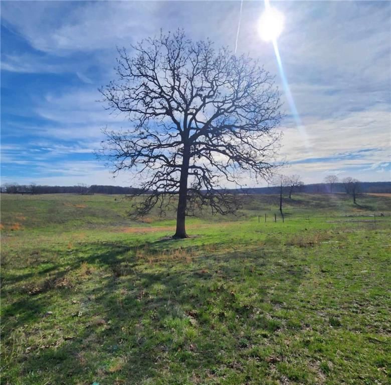 34476 Hwy M Highway — photo 15