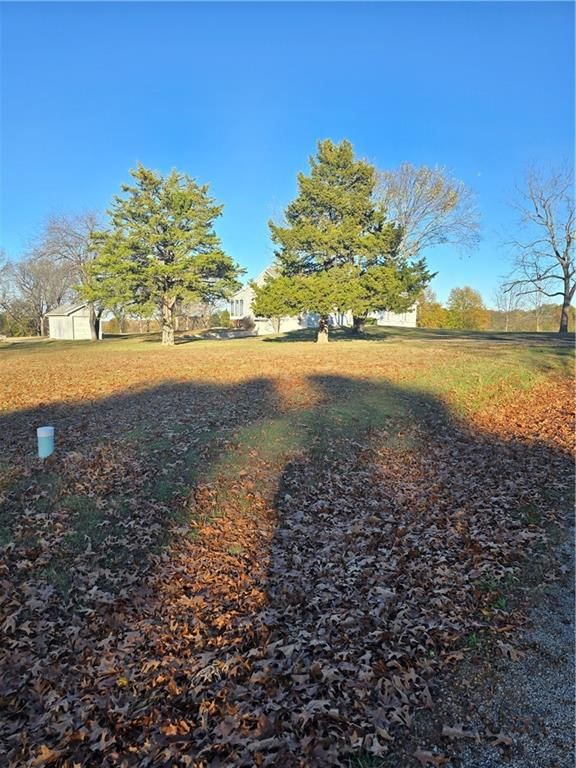 14813 Dawson Road — photo 6