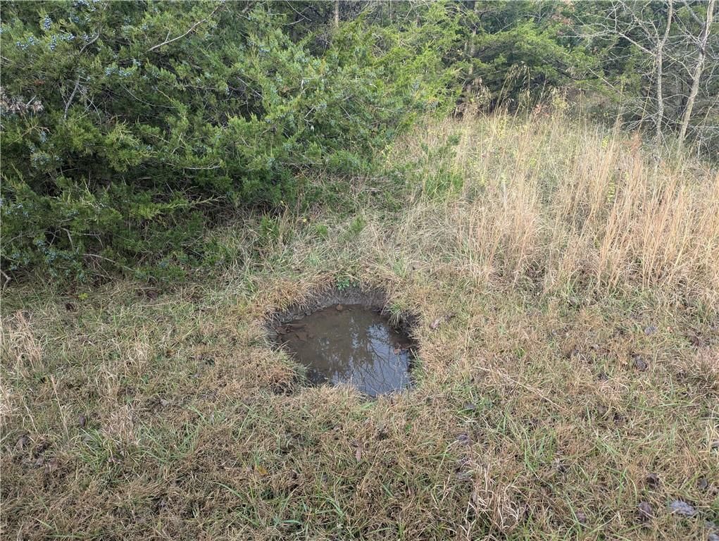 FF State Highway — photo 4