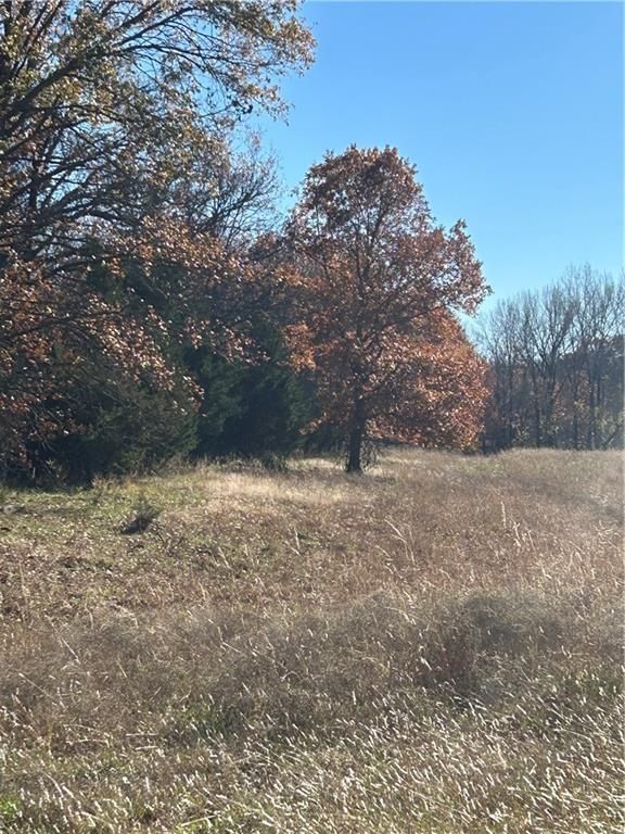 1350 US 59 Highway — photo 14