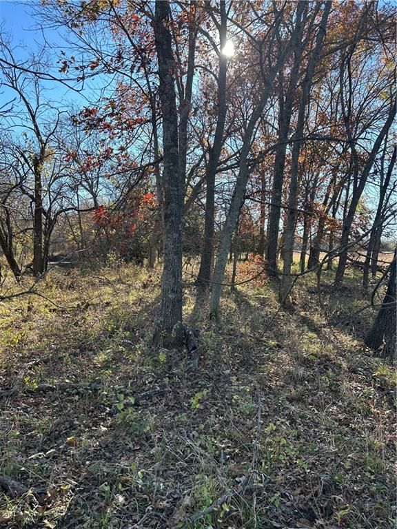 1350 US 59 Highway — photo 15