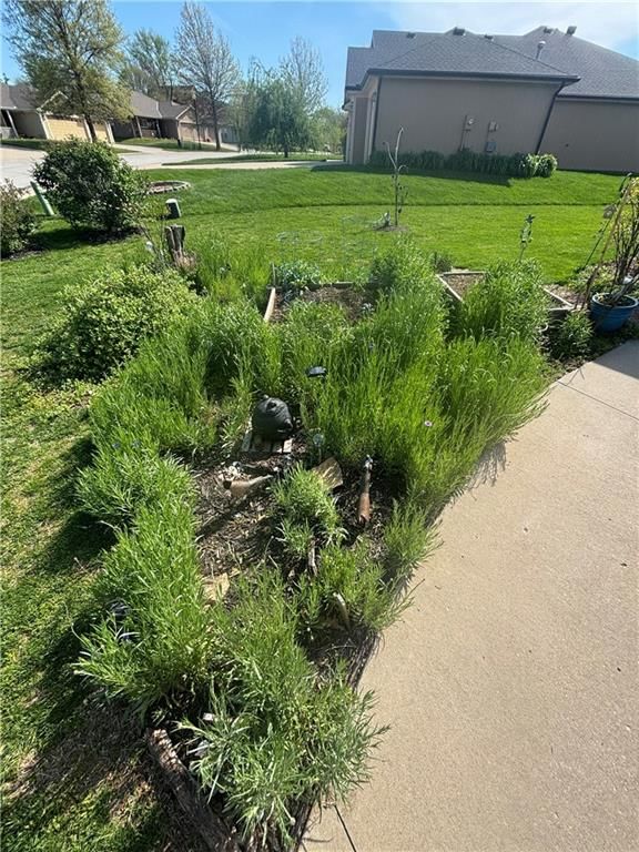 15785 Meadow Court — photo 29