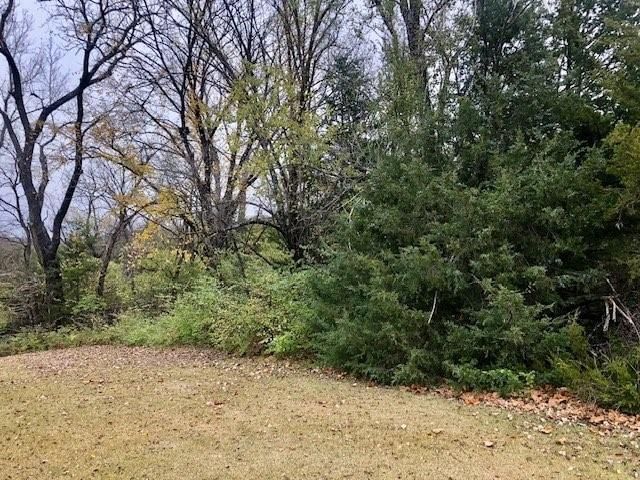 7479 Skyline Drive — photo 5