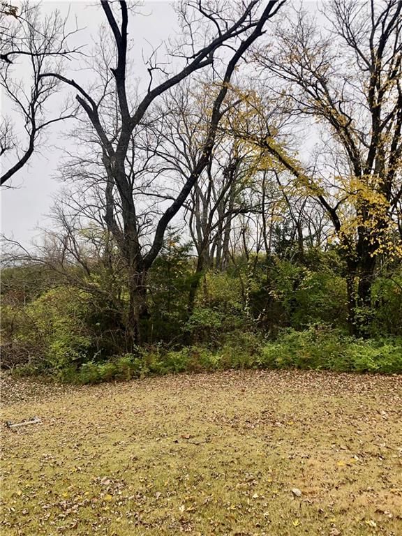 7479 Skyline Drive — photo 6