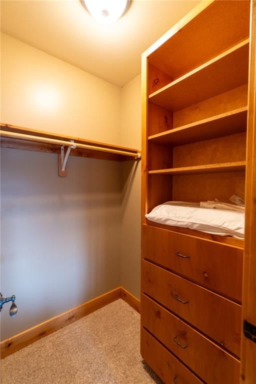 254 Lake Viking Terrace — photo 56