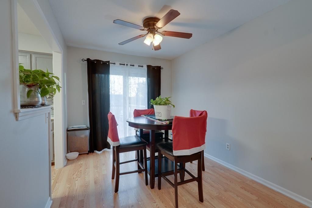 513 S Willow Drive — photo 19