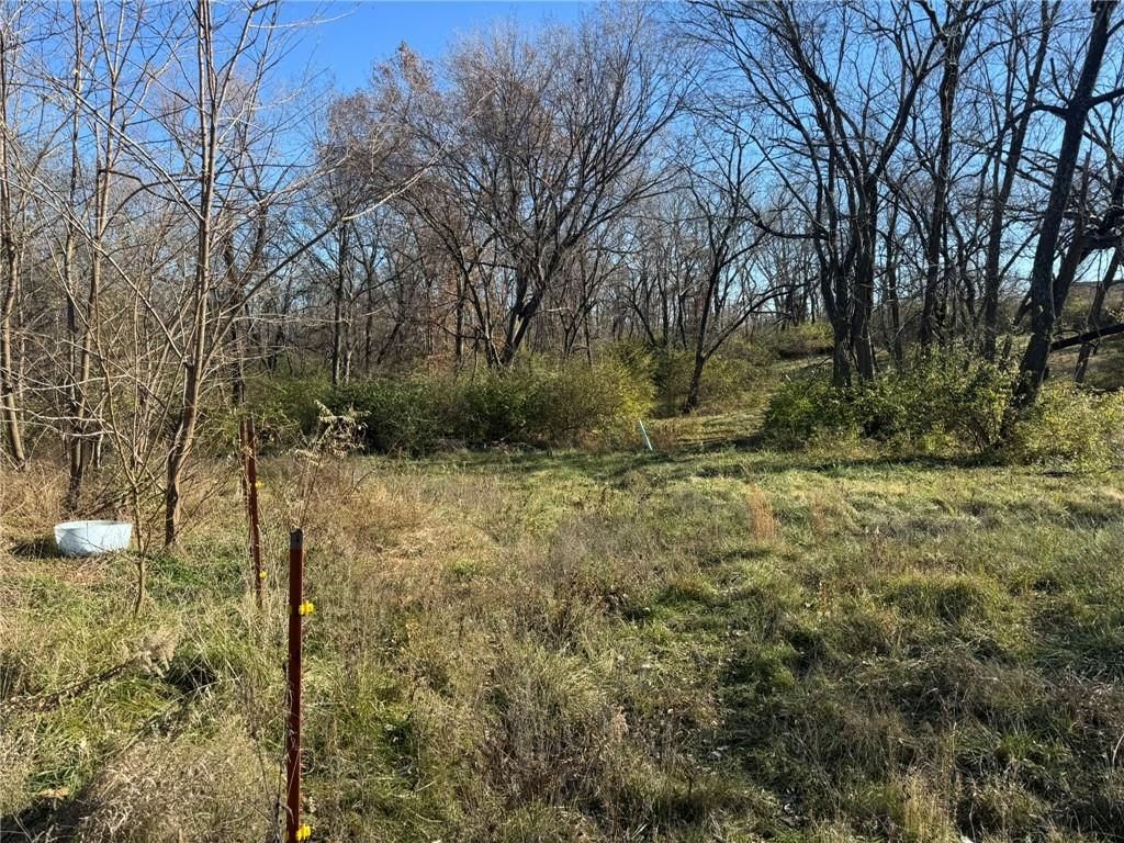 3909 E 100th Terrace — photo 12