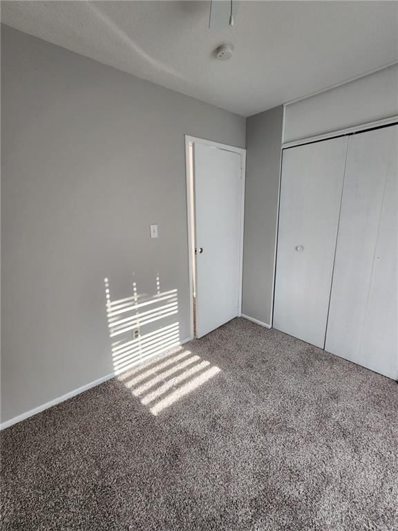 8538 Tauromee Avenue — photo 9