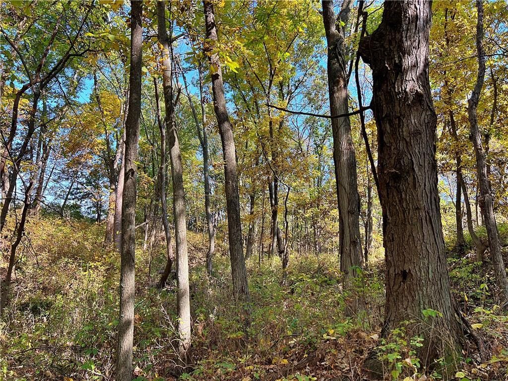 US 69 Highway — photo 17
