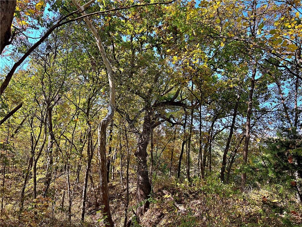 US 69 Highway — photo 18