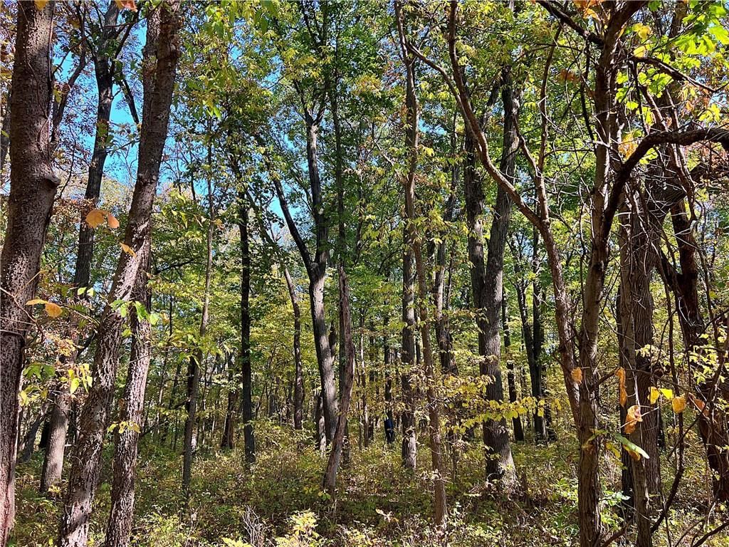 US 69 Highway — photo 22