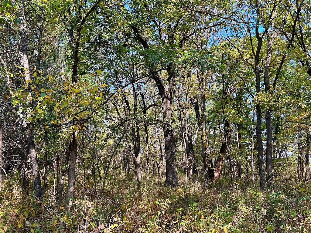 US 69 Highway — photo 32