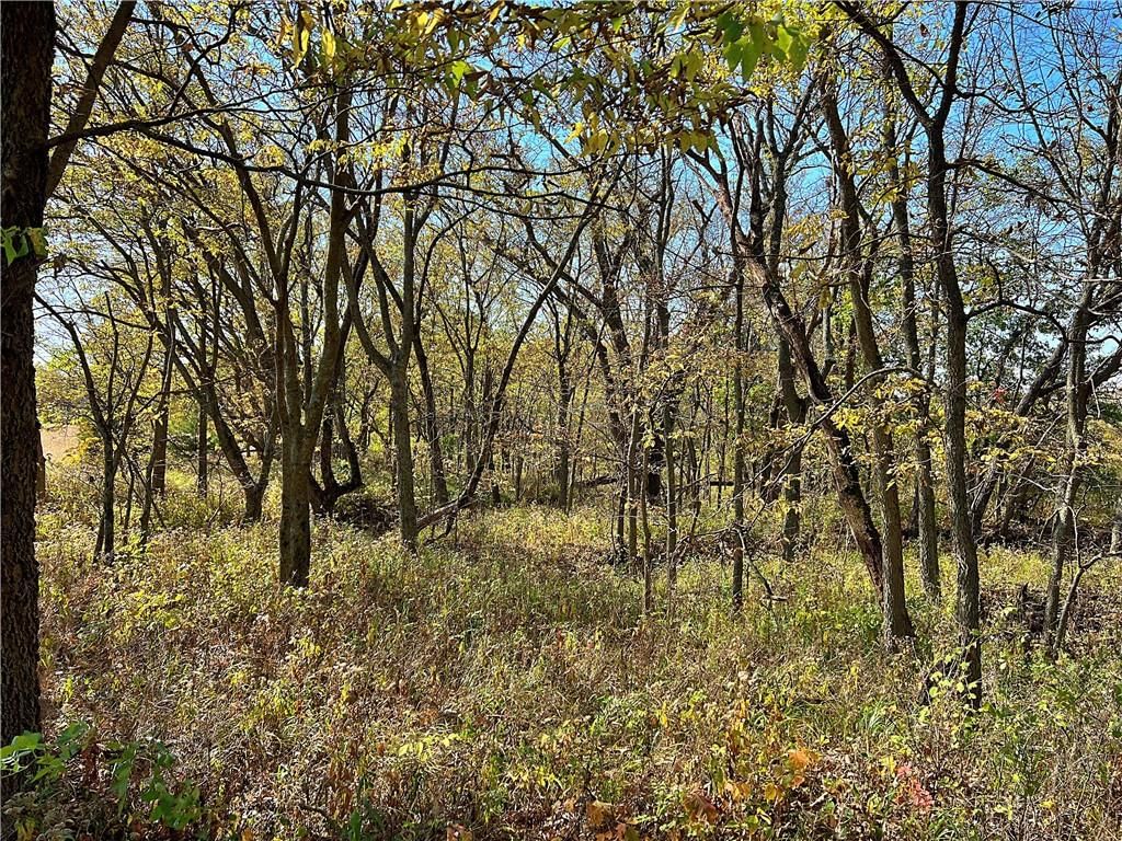 US 69 Highway — photo 34