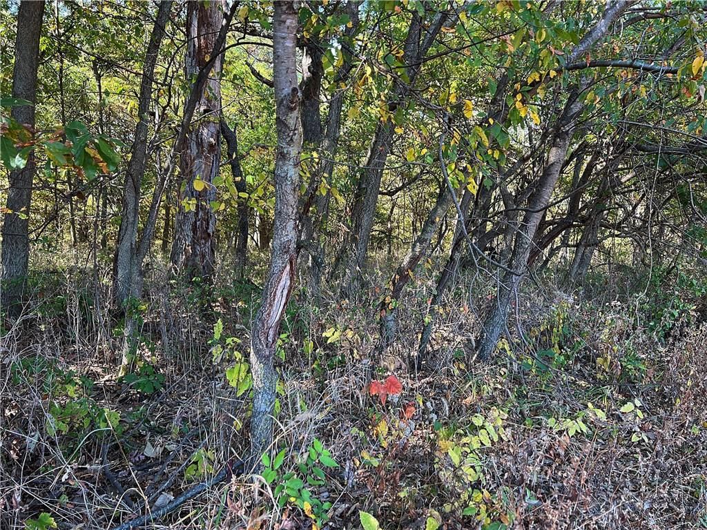 US 69 Highway — photo 36