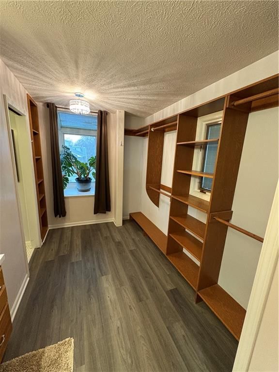 404 Seitz Drive — photo 23