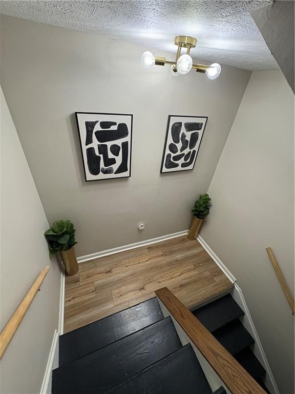 404 Seitz Drive — photo 25