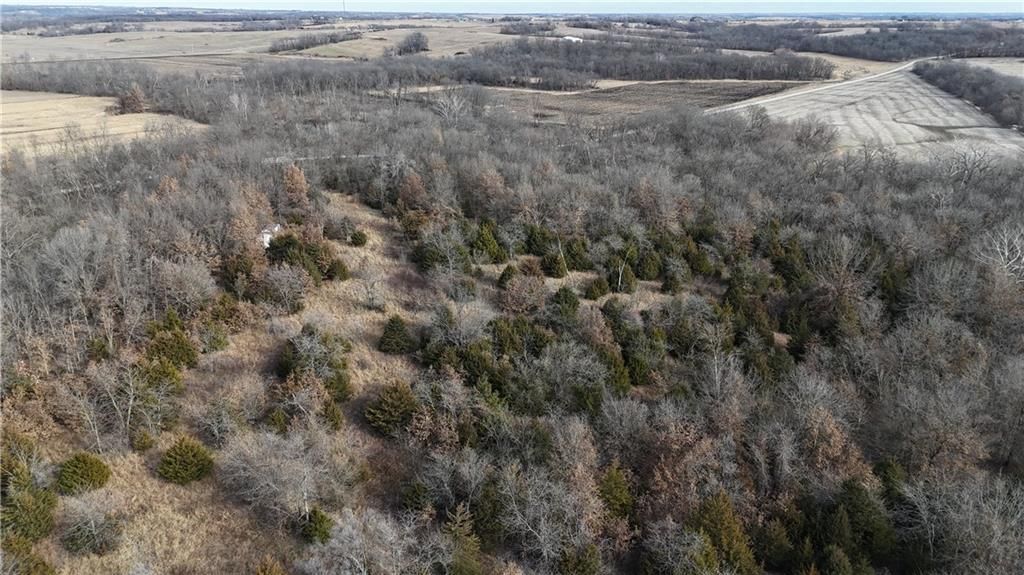 SE Offutt Road — photo 6