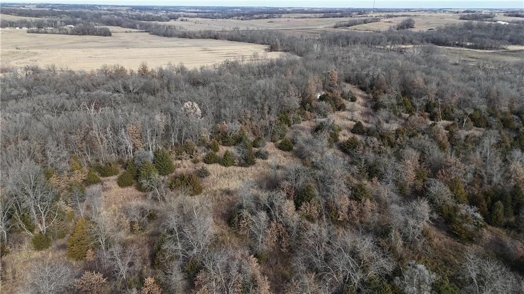 SE Offutt Road — photo 7