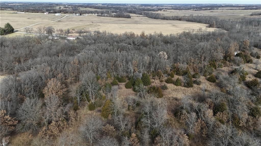 SE Offutt Road — photo 8