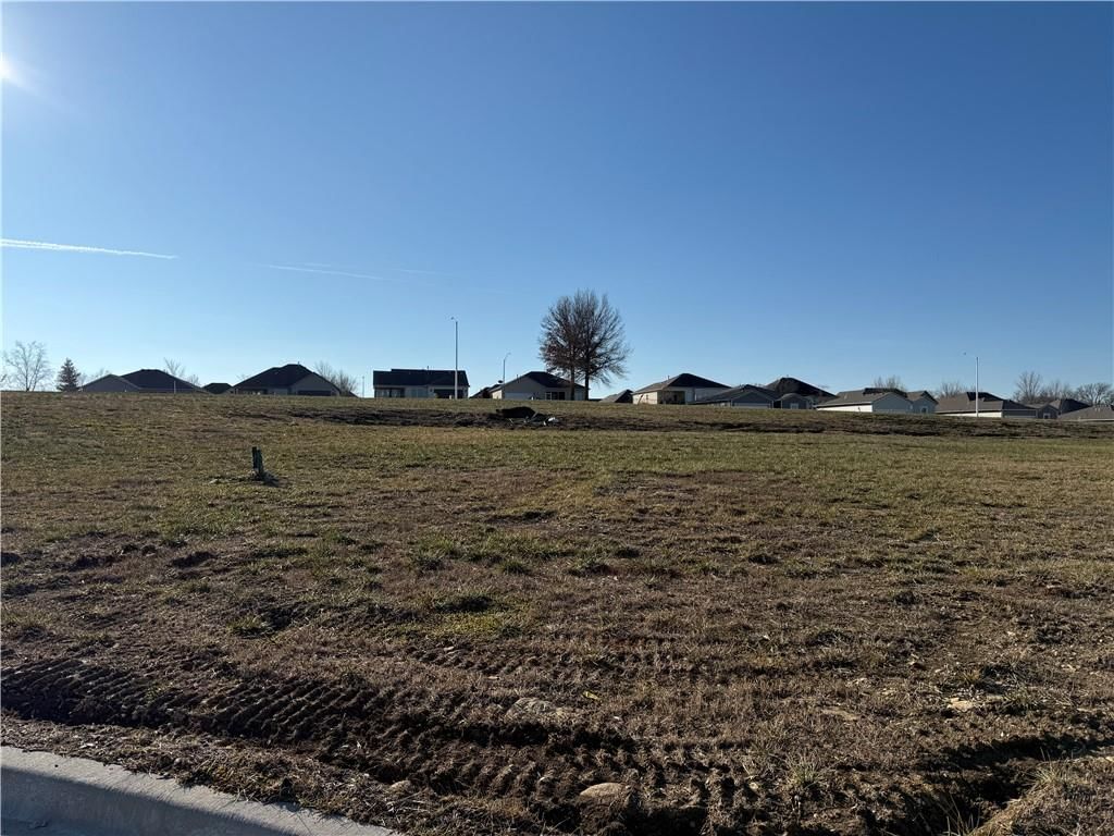 2213 Creek View Lane, Raymore, MO