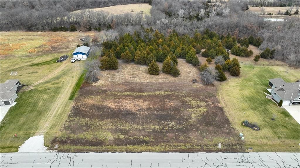 30402 Woodland Drive — photo 11
