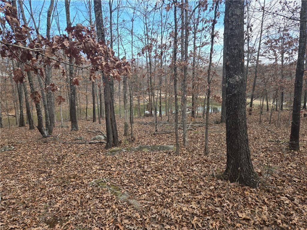 641 175 Road — photo 12