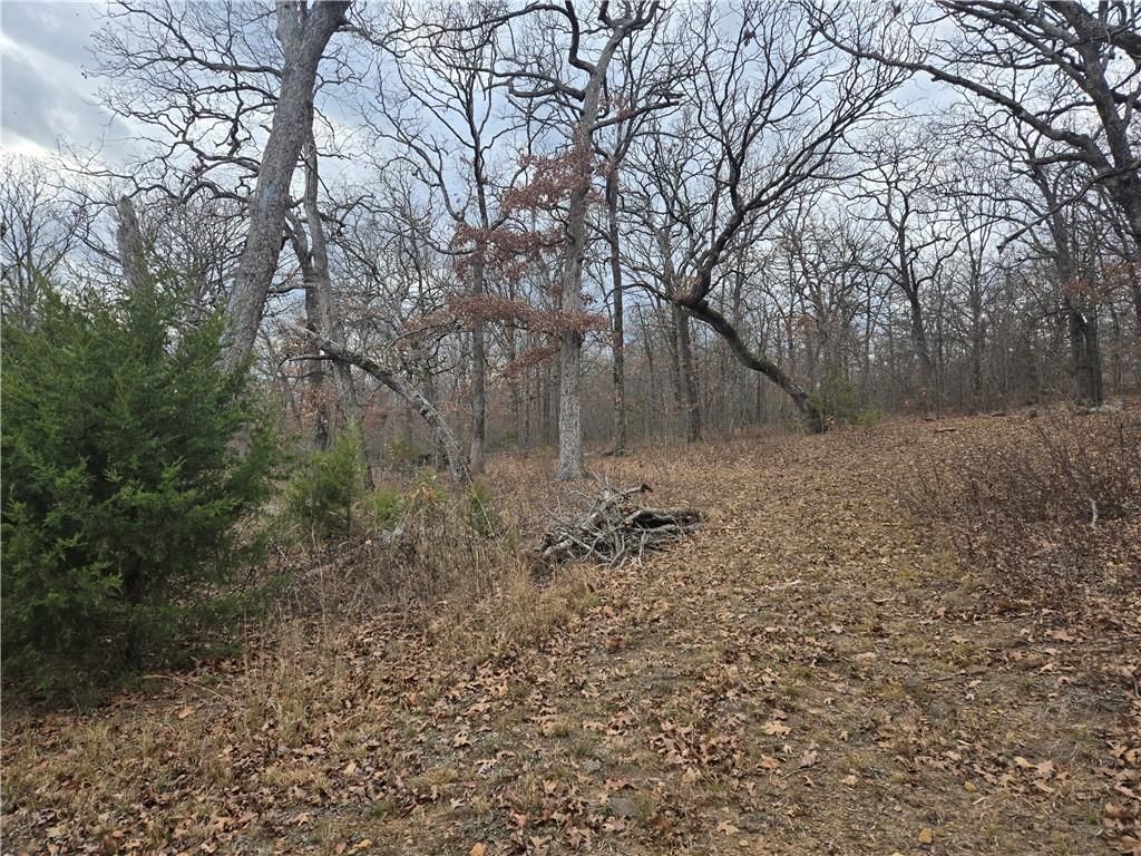 641 175 Road — photo 33