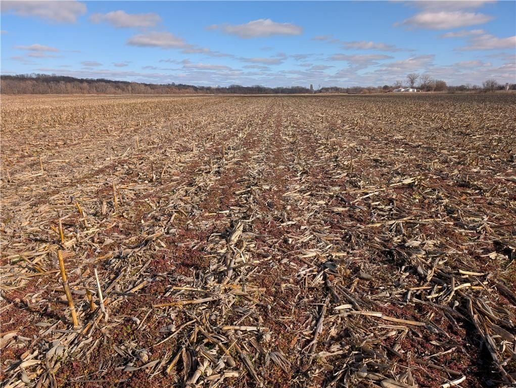 CR 292 Road — photo 11