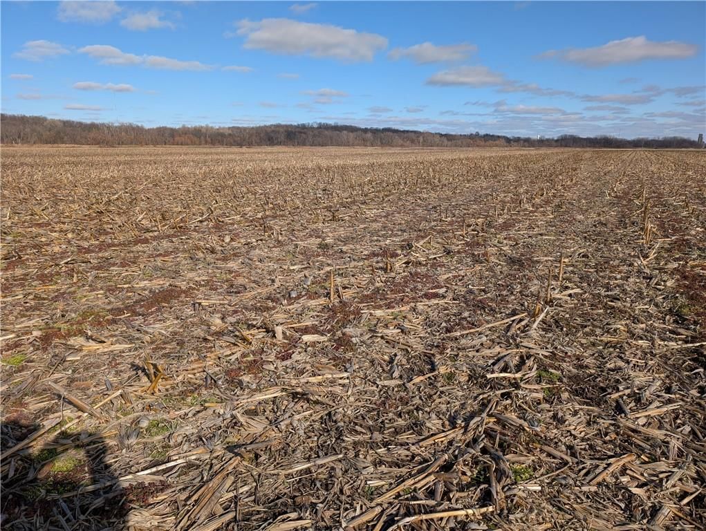 CR 292 Road — photo 12