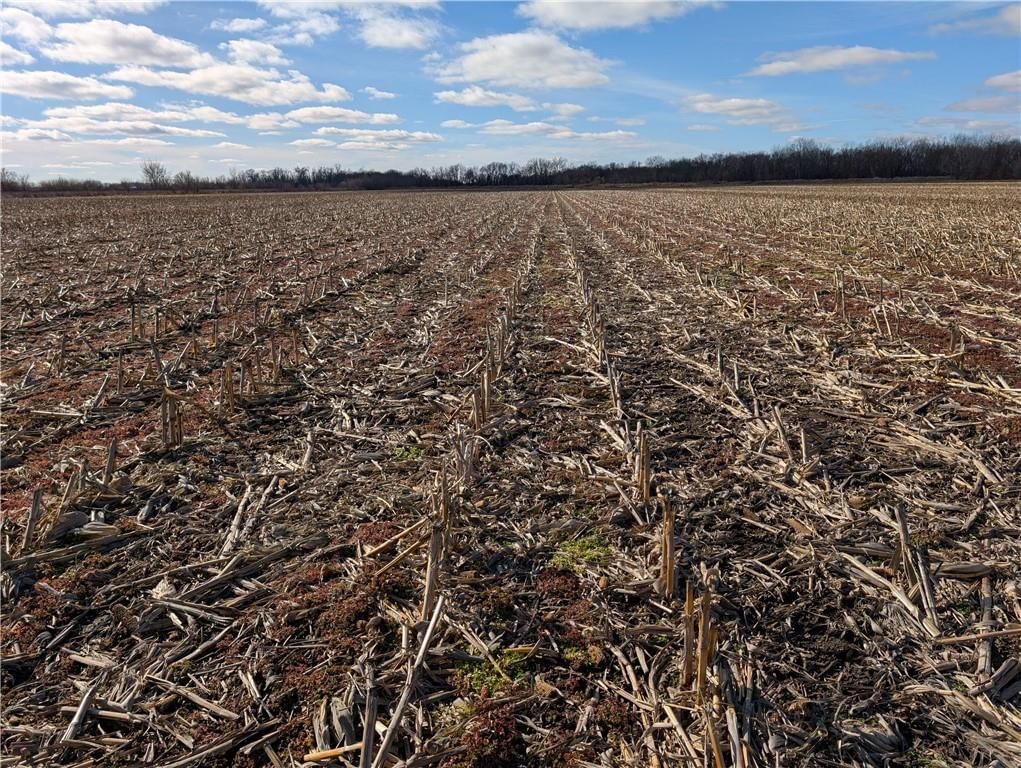 CR 292 Road — photo 13