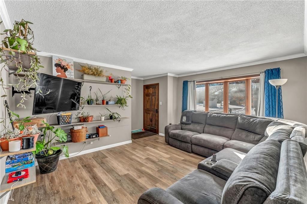 3620 Powell Street — photo 5