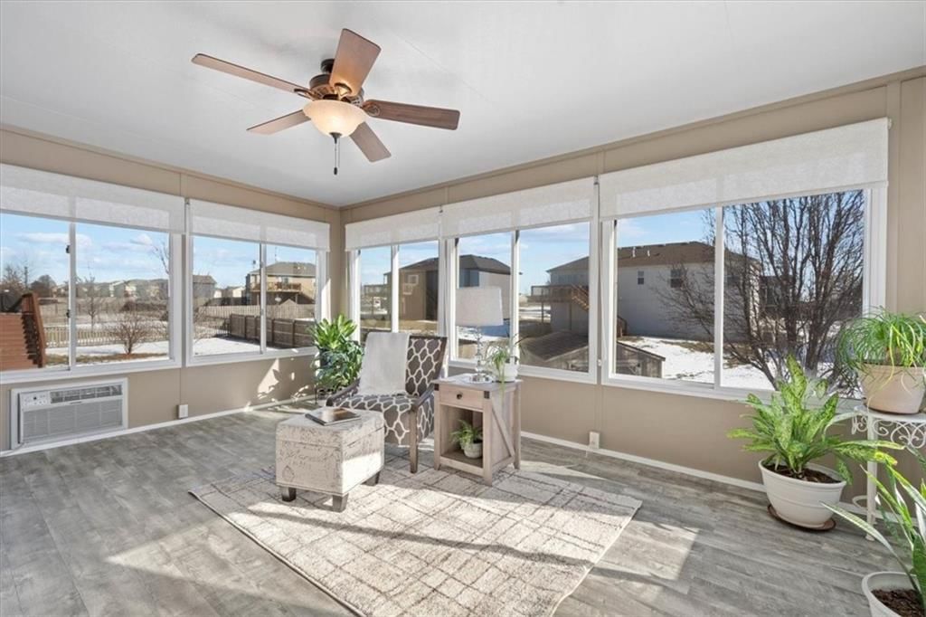 707 Hibiscus Circle — photo 16