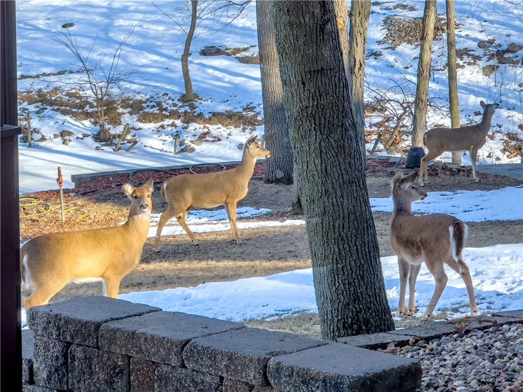 104 Crappie Point — photo 50