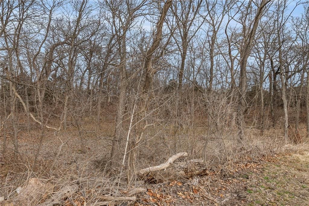 4259 Indiana Terrace — photo 14