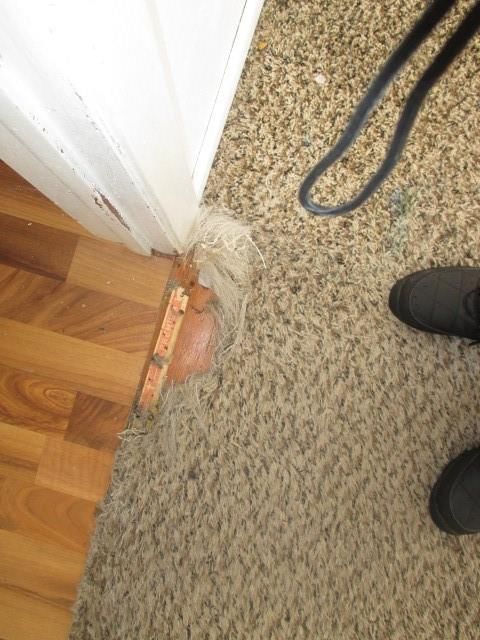 1004 Sycamore Drive — photo 21