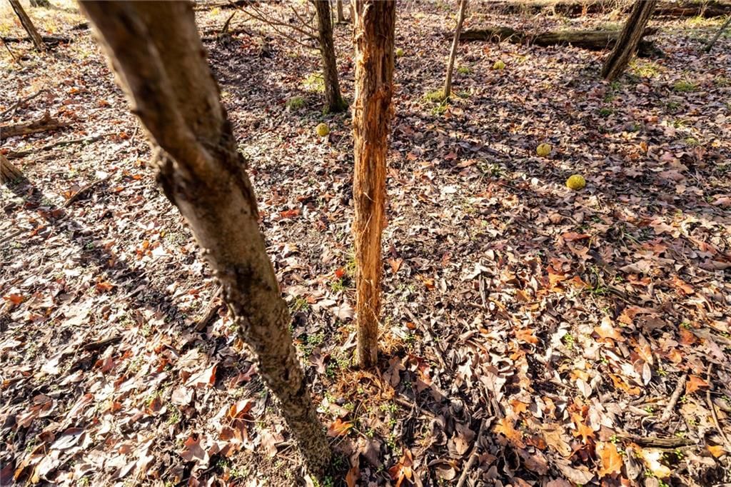 5788 Pratt Road — photo 66