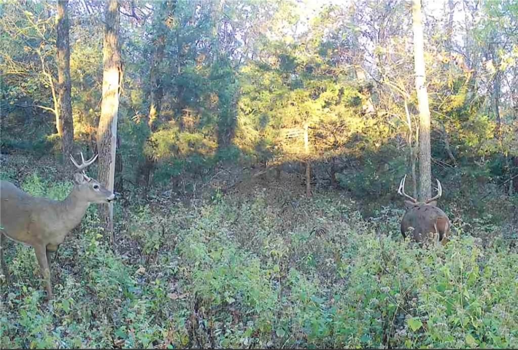 32019 S Shawnee Heights Road — photo 3