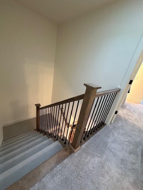 3107 Swift Street — photo 12