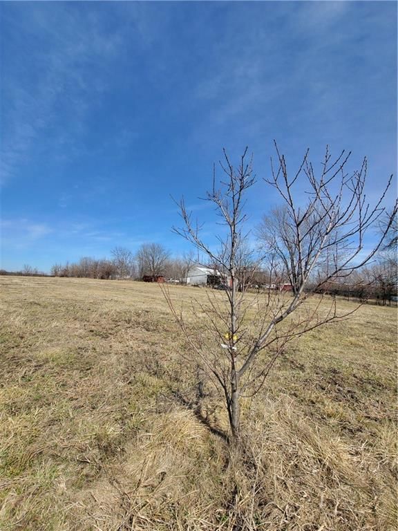 9761 Mount Tabor Road — photo 44
