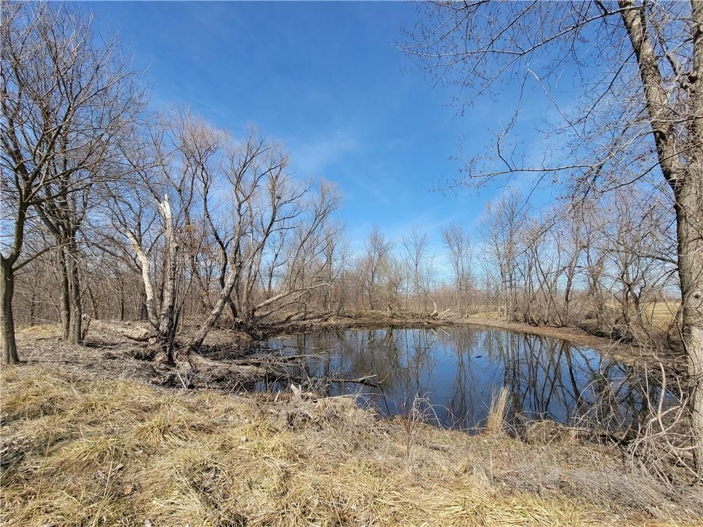 9761 Mount Tabor Road — photo 49