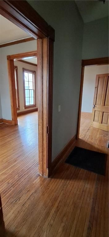 1304 Sylvanie Street — photo 2